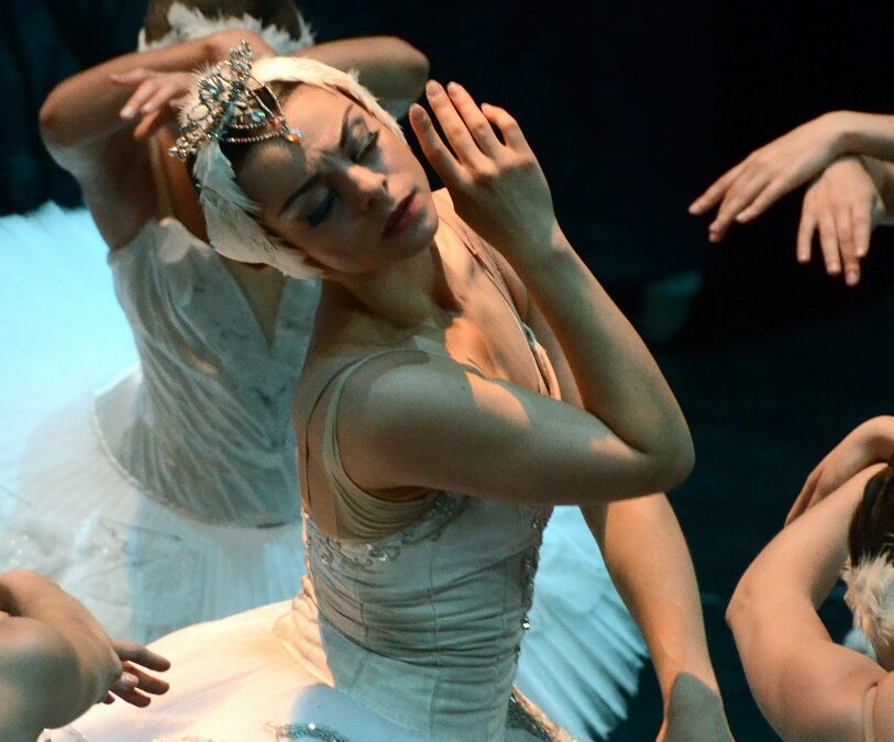 13 de novembre | Ballet de Moscou: El llac dels cignes